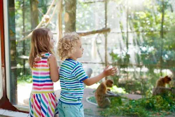 Jongen en meisje met aap in de dierentuin. Kinderen en dieren. — Stockfoto
