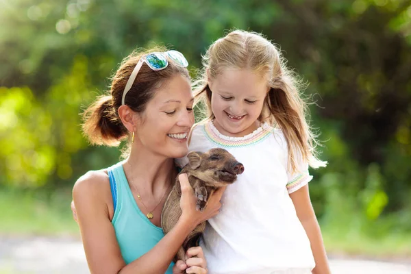 Çocuklar ve çiftlik hayvanları. Çocuk Hayvanat Bahçesi'nde bebek domuz ile. — Stok fotoğraf