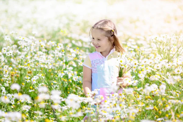 Little girl picking flowers in daisy field — Stock Photo, Image