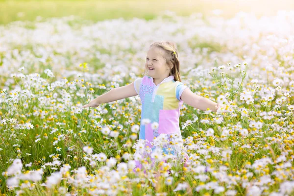 Девочка собирает цветы на поле ромашки — стоковое фото