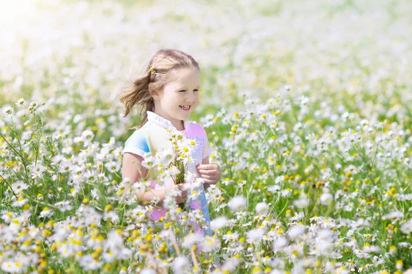 Niña recogiendo flores en el campo de margaritas —  Fotos de Stock