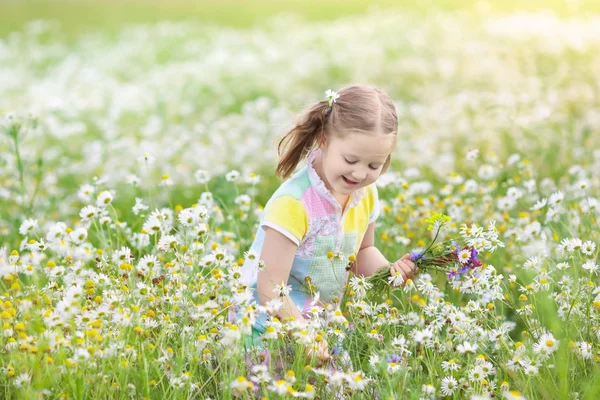 Malá holčička trhá květiny v oblasti daisy — Stock fotografie