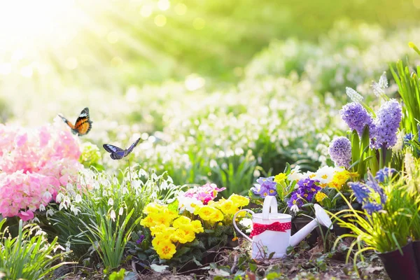 Spring garden with flowers. Gardening tools. — Stock Photo, Image