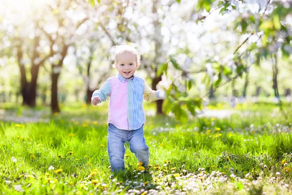 Child with cherry blossom flower. Easter egg hunt. — Stock Photo, Image