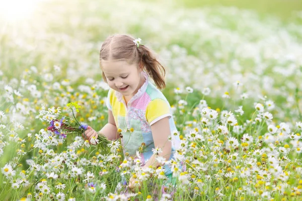 Niña recogiendo flores en el campo de margaritas — Foto de Stock