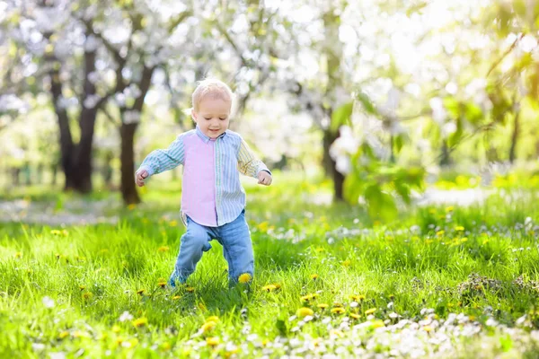 Kind met kersenbloesem bloem. Eieren zoeken met Pasen. — Stockfoto