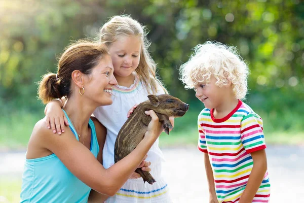 Kids with baby pig animal. Children at farm or zoo