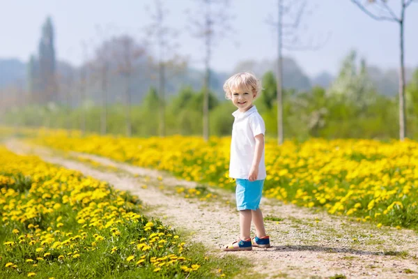 Děti hrají. Dítě v poli pampelišky. Letní květiny — Stock fotografie