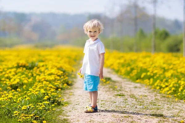 Kids play. Child in dandelion field. Summer flower — Stock Photo, Image