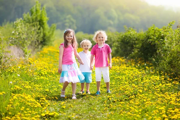 Los niños juegan. Niño en el campo de diente de león. Flor de verano —  Fotos de Stock