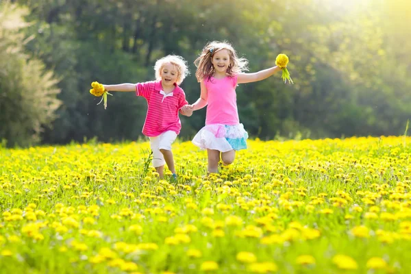 Barnen leker. Barn i maskros fält. Sommar blomma — Stockfoto
