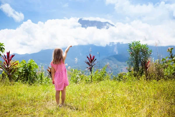 Dziecko na wycieczkę w góry. Dzieci jungle trekking. — Zdjęcie stockowe