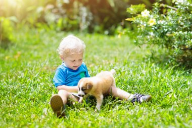Çocuklar köpekle oynar. Çocuk ve köpek bahçe içinde.