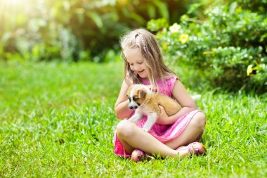 Çocuklar köpekle oynar. Çocuk ve köpek bahçe içinde.