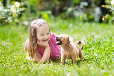 Çocuklar köpekle oynar. Çocuk ve köpek bahçe içinde.