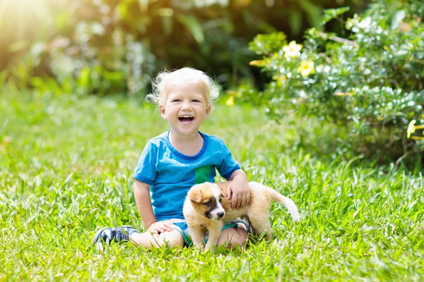 Çocuklar köpekle oynar. Çocuk ve köpek bahçe içinde. — Stok fotoğraf