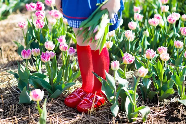 Bambino nel campo di fiori di tulipano. Mulino a vento in Olanda . — Foto Stock