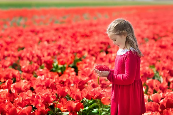 Kind in rode bloem veld. Poppy en tulip tuin. — Stockfoto