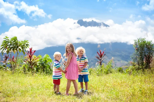 Kinderen wandelen in de bergen en jungle. — Stockfoto