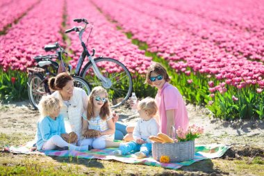 Lale çiçek alanlarındaki Hollanda'da aile pikniği. Genç anne ve çocuk çiçek açan Lale çiçek alanında yemek. Anne ve çocuklar bisikletle seyahat. Hollanda'da bisiklet gezisi. Bahar tatil.