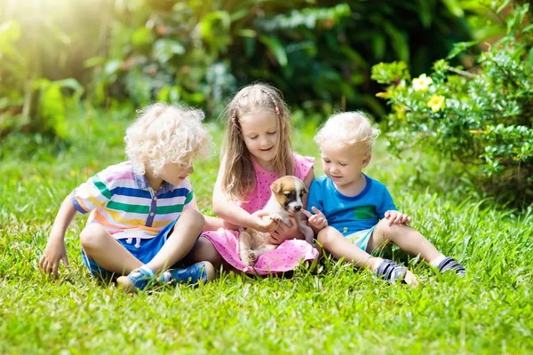 Los Niños Juegan Con Perrito Lindo Niños Perros Bebé Jugando — Foto de Stock