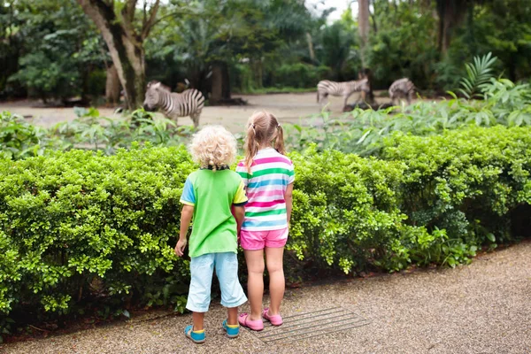 一家人在动物园里看斑马 在新加坡的暑假期间 在热带野生动物园的男孩和女孩 孩子们看马 兄弟姐妹了解非洲稀树草原动物 儿童户外 — 图库照片
