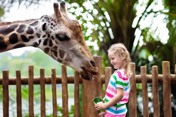 Familie Füttert Giraffe Zoo Kinder Füttern Giraffen Tropischen Safaripark Während — Stockfoto