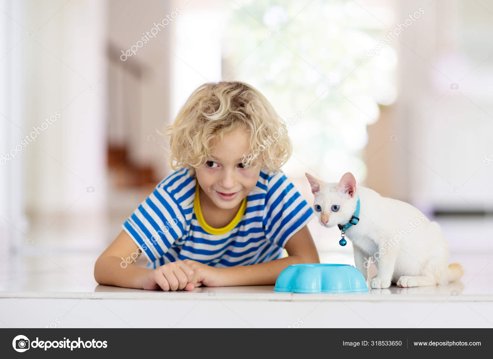 Küçük çocuk bebek kedi tutuyor. Çocuklar ve evcil hayvanlar Stok