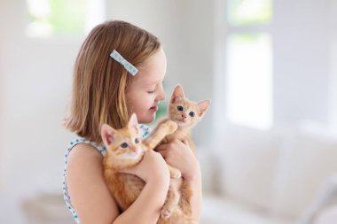 Küçük çocuk bebek kedi tutuyor. Çocuklar ve evcil hayvanlar