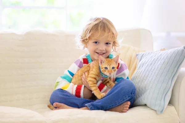 Kind speelt met kat. Jongen en kitten. — Stockfoto