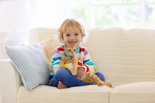 Niño jugando con el gato. Niño y gatito . —  Fotos de Stock