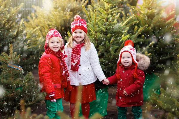 Niños comprando árbol de Navidad — Foto de Stock