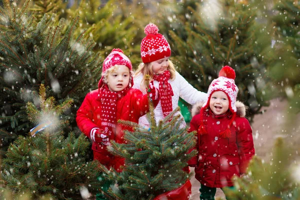 Çocuklar Noel ağacı alıyor. — Stok fotoğraf