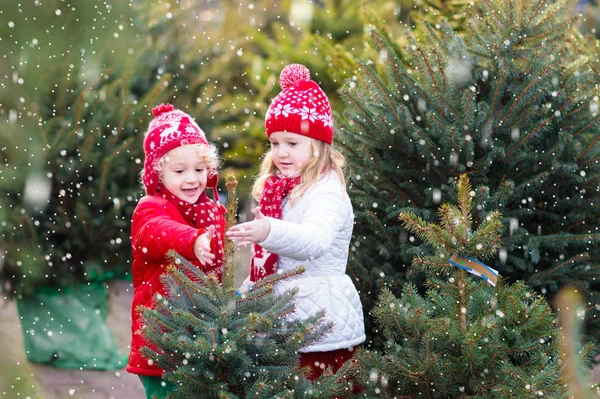 Niños comprando árbol de Navidad — Foto de Stock