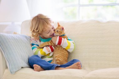 Çocuk kediyle oynuyor. Çocuk ve kedi yavrusu.