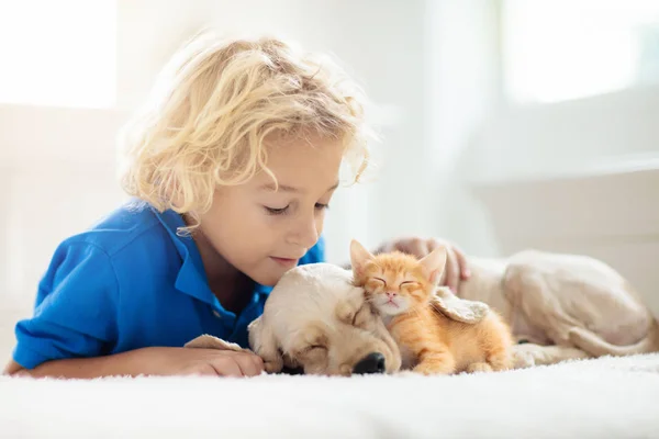 Enfant, chien et chat. Les enfants jouent avec chiot, chaton . — Photo