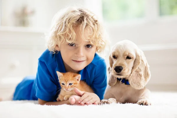 Bambino, cane e gatto. I bambini giocano con cucciolo, gattino . — Foto Stock