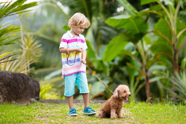 Los niños juegan con el cachorro. Niños y perros en el jardín . — Foto de Stock