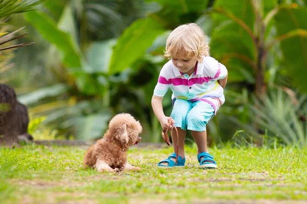 Çocuklar köpekle oynar. Çocuk ve köpek bahçe içinde. — Stok fotoğraf