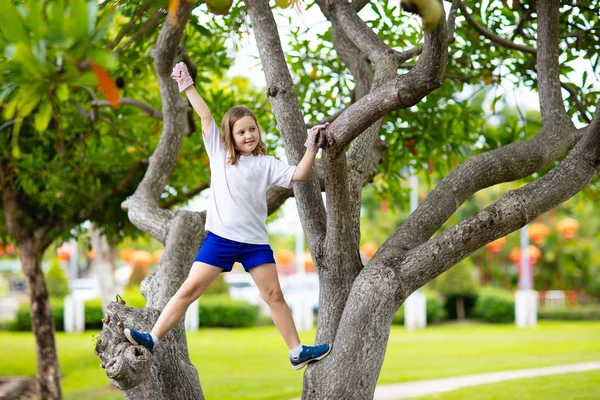 Kids climb tree in summer park. Child climbing. — 图库照片