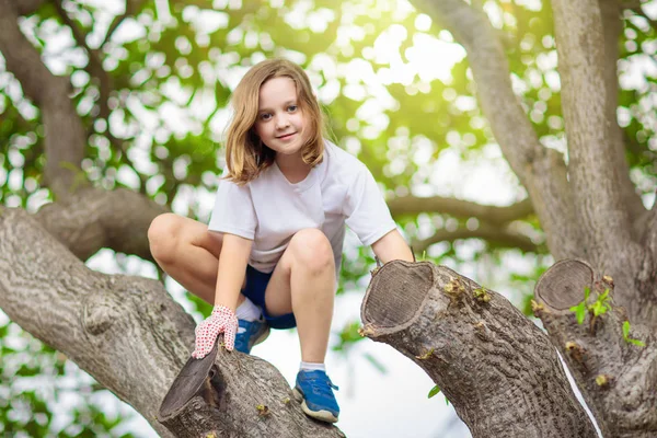 I bambini si arrampicano sull'albero nel parco estivo. Arrampicata bambino . — Foto Stock