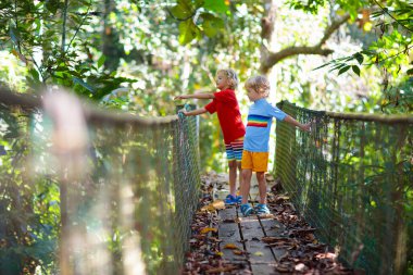 Dağlarda yürüyüş yapan çocuklar. Ormanda nehirde asma köprüde yürüyen bir çocuk. Küçük çocuklarla seyahat ve yürüyüş yapmak. Doğayı keşfeden aktif bir çocuk. Ormanda yürüyüşe çıkmış çocuklu bir aile..