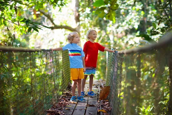 Dzieci Wędrujące Górach Chłopiec Spacerujący Moście Wiszącym Nad Rzeką Dżungli — Zdjęcie stockowe