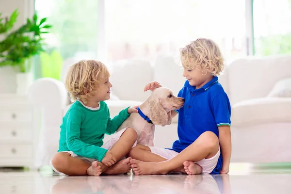 Criança Brincando Com Cachorrinho Miúdos Com Cachorrinho Menino Cocker Spaniel — Fotografia de Stock