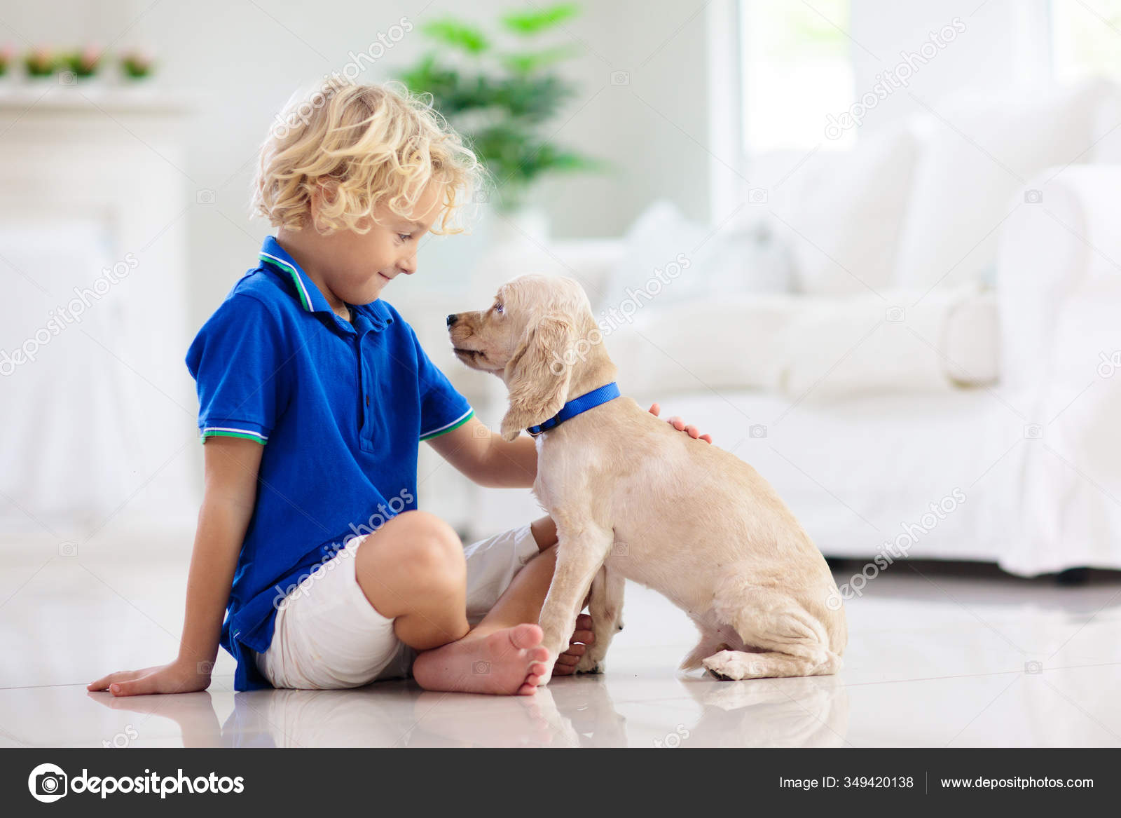 Enfant Jouant Avec Bebe Chien Les Enfants Jouent Avec Chiot Image Libre De Droit Par Famveldman C Enfant Jouant Avec Bebe Chien Les Enfants Jouent Avec Chiot Image Libre De Droit Par Famveldman C