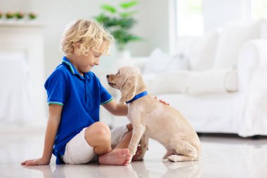 Çocuk yavru köpekle oynuyor. Çocuklar köpek yavrusuyla oynar. Küçük çocuk ve Amerikan cocker spaniel evdeki kanepede. Çocuklar ve evcil hayvanlar evde. Çocuk evcil hayvanıyla yerde oturuyor. Hayvan bakımı..