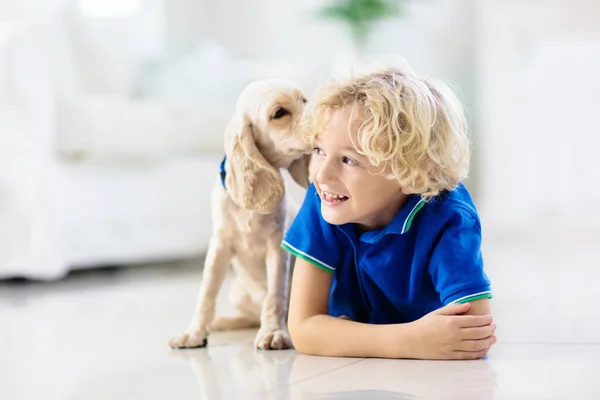 Çocuk Yavru Köpekle Oynuyor Çocuklar Köpek Yavrusuyla Oynar Küçük Çocuk — Stok fotoğraf