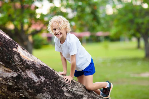 子供たちは夏の公園で木に登る 子供の登山 若い探検家のための冒険 子供たちは日当たりの良い森で自然を探索する 森の中の少女や少年のための健康的な屋外活動 — ストック写真