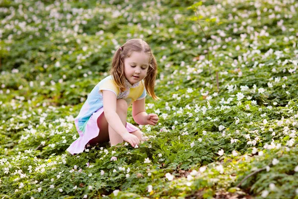 Niño Caza Del Huevo Pascua Jardín Floreciente Con Flores Primavera — Foto de Stock