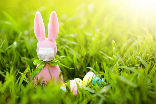 Easter bunny in face mask during coronavirus outbreak. Decoration and celebration during global virus pandemic. Easter egg hunt in flu epdemic.